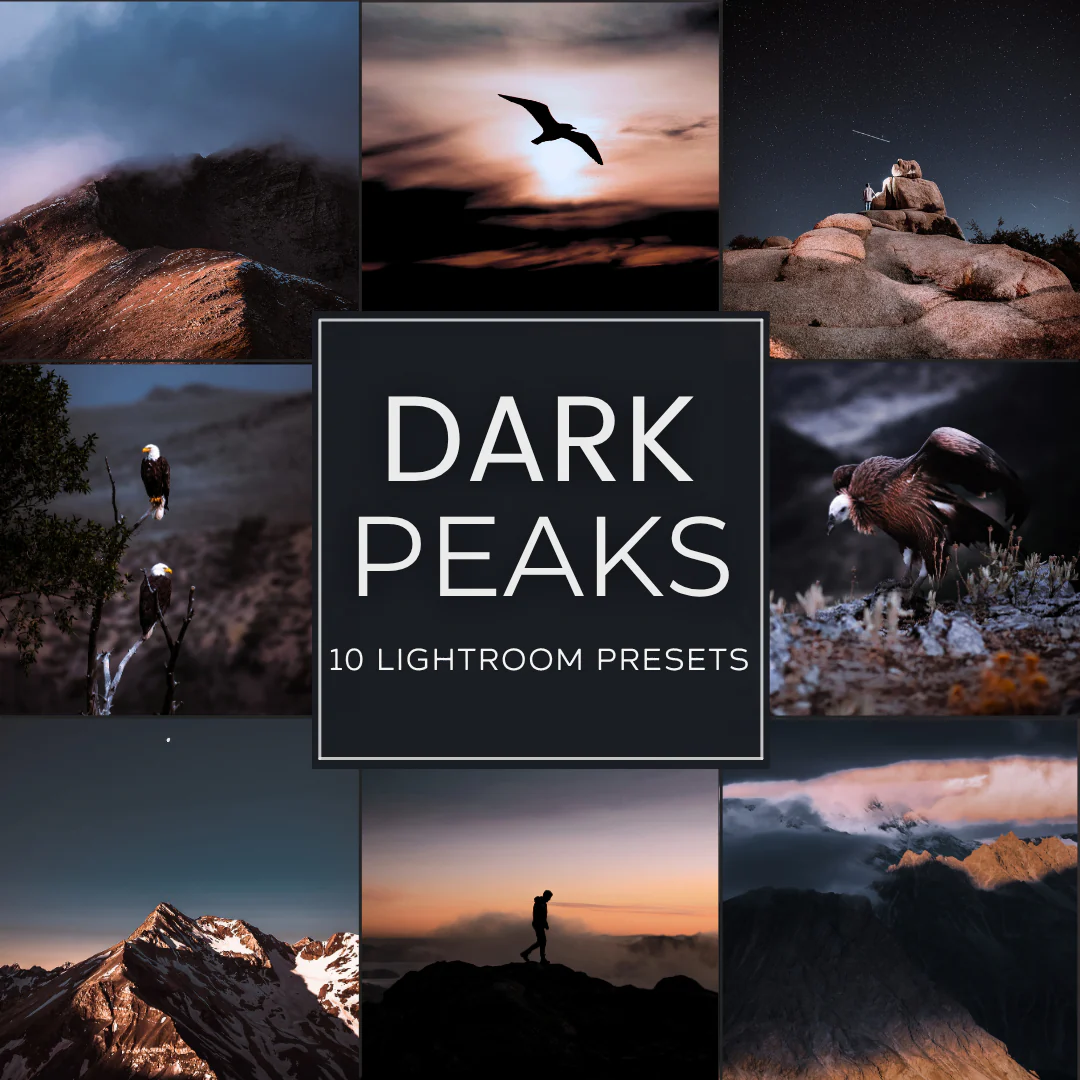 Lightroom Presets for Nature & Wildlife Photography