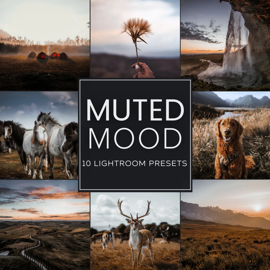 Best Selling Lightroom Mobile & Desktop Presets